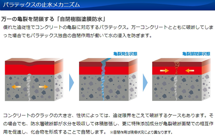 パラテックスの止水メカニズム